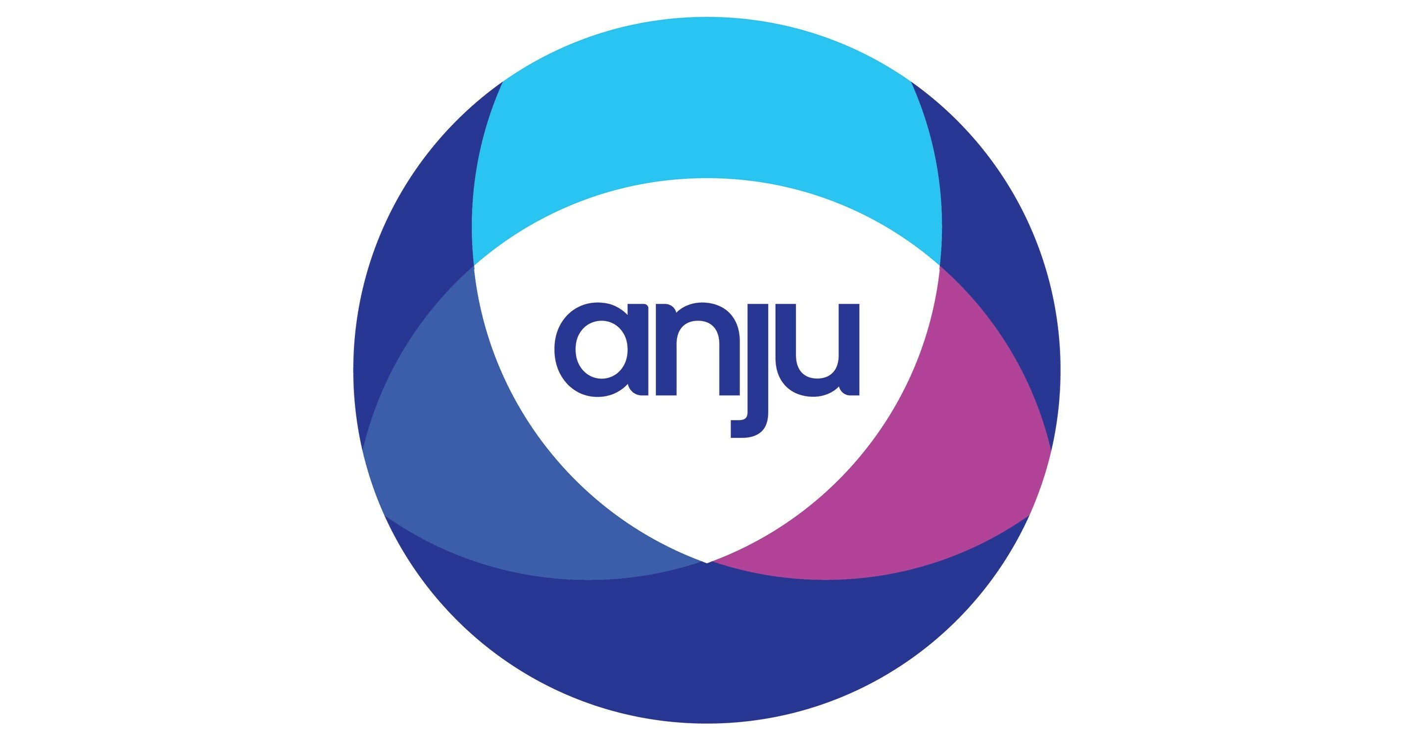 Anju software