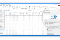 Navision software