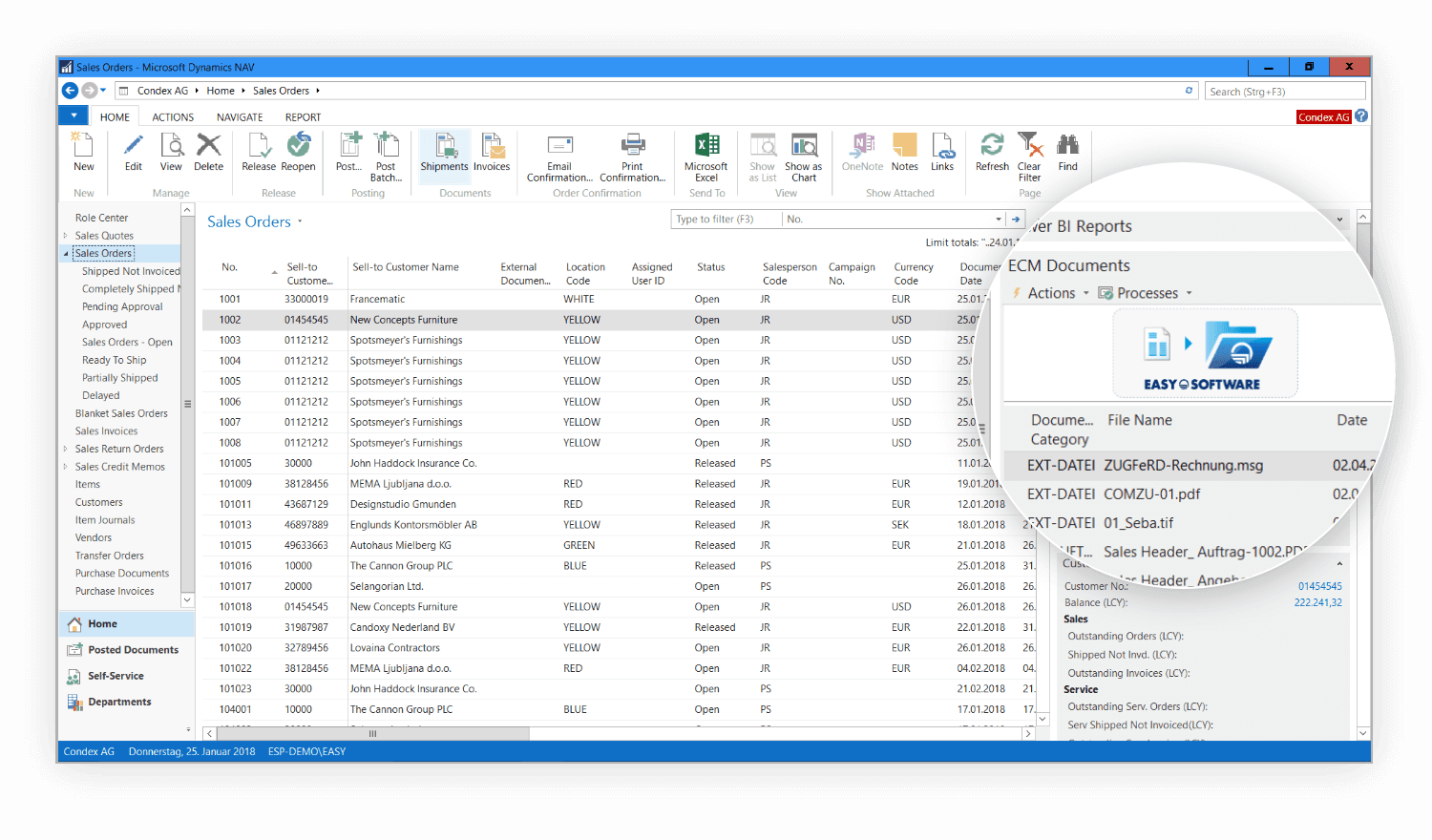 Navision software